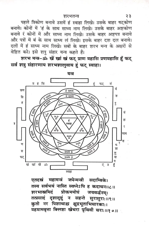Sharabh Tantra (Pakshiraj Tantra)